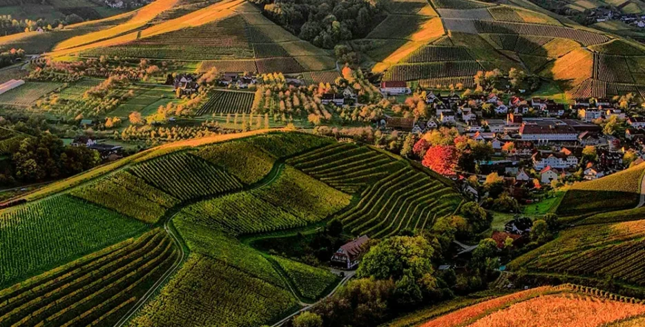 We grow fresh, organic produce using clean methods that protect nature, healthy food.