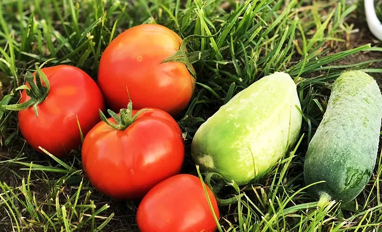 There are many variations of passages of Lorem Ipsum available, but majority have suffered teration in some form, by injected humour, or randomised words which don't look even slight believable. If you are going to use a passage of Lorem Ipsum.